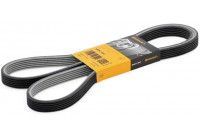 Cinturón múltiple 6DPK1697 Contitech