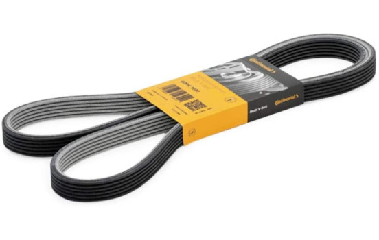 Cinturón múltiple 6DPK1697 Contitech