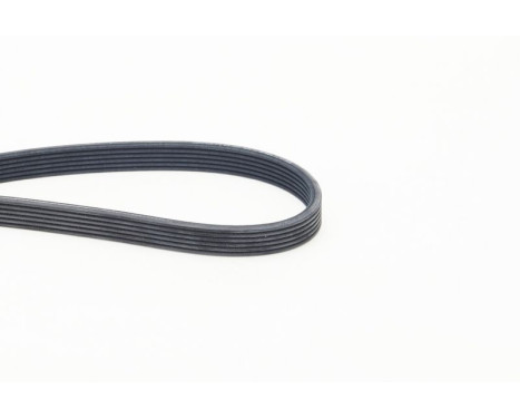 Cinturón múltiple 6DPK1825 Contitech