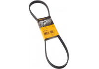 Cinturón múltiple 6PK1026 Contitech