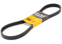 Cinturón múltiple 6PK1029ELAST Contitech