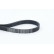 Cinturón múltiple 6PK1029ELAST Contitech, Miniatura 2