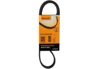 Cinturón múltiple 6PK1059 ELAST Contitech