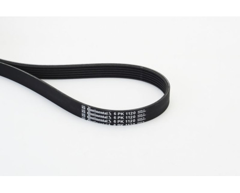 Cinturón múltiple 6PK1120 Contitech