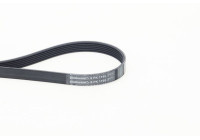Cinturón múltiple 6PK1195 Contitech