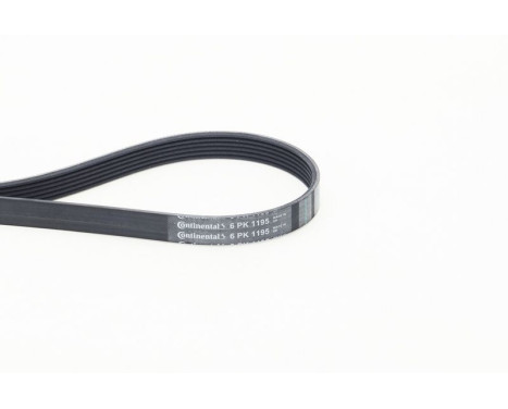 Cinturón múltiple 6PK1195 Contitech