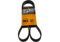 Cinturón múltiple 6PK1256 Contitech