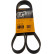 Cinturón múltiple 6PK1256 Contitech
