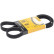 Cinturón múltiple 6PK1264 Contitech
