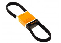 Cinturón múltiple 6PK1440 Contitech