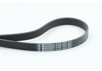 Cinturón múltiple 6PK1680 Contitech