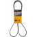 Cinturón múltiple 6PK1705 Contitech