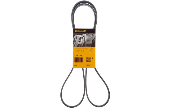 Cinturón múltiple 6PK1705 Contitech