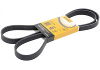 Cinturón múltiple 6PK1715 Contitech