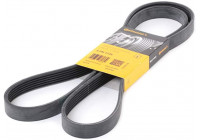 Cinturón múltiple 6PK1725 Contitech