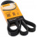 Cinturón múltiple 6PK2065 Contitech
