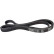 Cinturón múltiple 6PK2077 Contitech