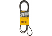 Cinturón múltiple 6PK2100 Contitech