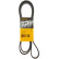 Cinturón múltiple 6PK2100 Contitech