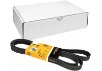 Cinturón múltiple 6PK2175 Contitech