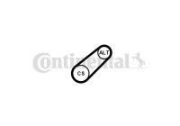 Cinturón múltiple 6PK799 ELAST Contitech