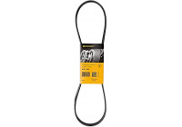 Cinturón múltiple 6PK995 Contitech