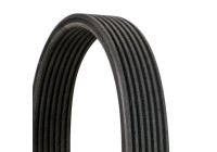 Cinturón múltiple 7DPK1360 Contitech
