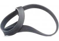 Cinturón múltiple 7PK1035 Contitech