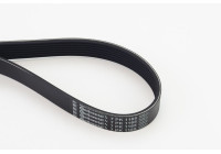 Cinturón múltiple 7PK1165 Contitech