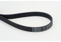 Cinturón múltiple 7PK1196EXTRA Contitech