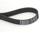 Cinturón múltiple 7PK1325 Contitech