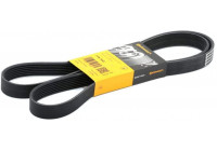 Cinturón múltiple 7PK1642 Contitech