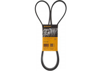 Cinturón múltiple 7PK1687 Contitech