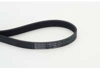 Cinturón múltiple 7PK1705 Contitech