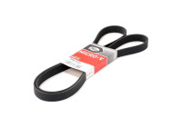 Cinturón múltiple 7PK1933 Gates