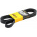 Cinturón múltiple 7PK2035 Contitech