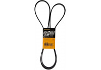 Cinturón múltiple 7PK2061 Contitech