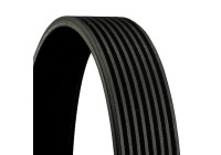 Cinturón múltiple 8PK1371 Contitech