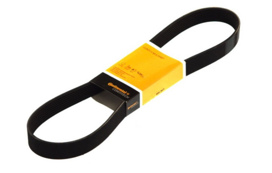 Cinturón múltiple 8PK2050 Contitech