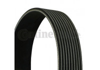 Cinturón múltiple 9PK 1700 Contitech