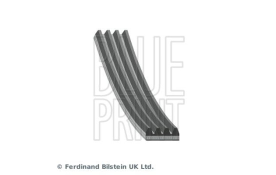 Cinturón múltiple AD04R870 Blue Print, Imagen 2