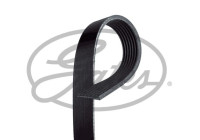 Cinturón múltiple K071141RPM Gates