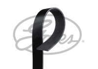 Cinturón múltiple K100579RPM Gates