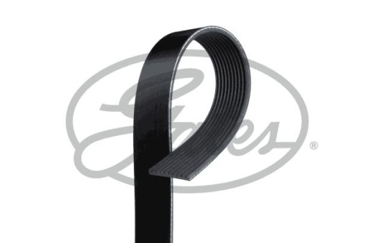 Cinturón múltiple K100579RPM Gates