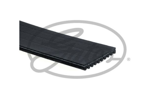 Cinturón múltiple K100579RPM Gates, Imagen 2