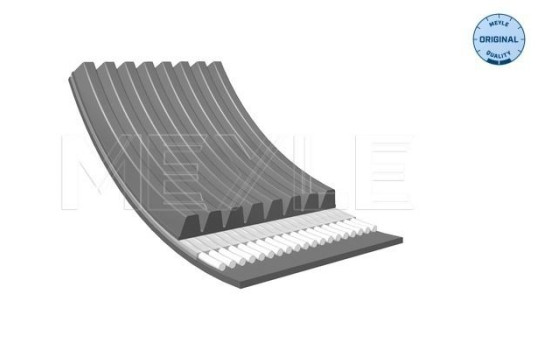 Cinturón múltiple, Imagen 2