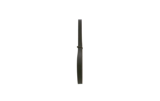 Cinturón múltiple, Imagen 4
