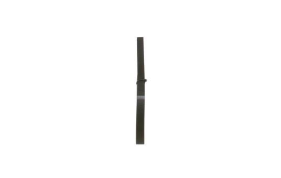 Cinturón múltiple, Imagen 4