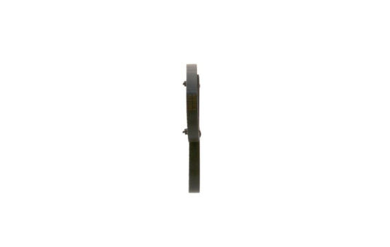 Cinturón múltiple, Imagen 2