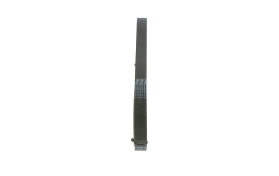 Cinturón múltiple, Imagen 2